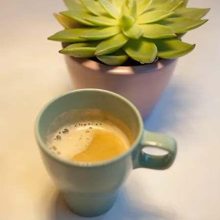 公寓 Modernes Im Herzen Von Neustadt: Pfalzliebe Neustadt an der Weinstraße