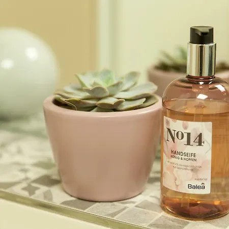 Apartment Modernes Im Herzen Von Neustadt: Pfalzliebe