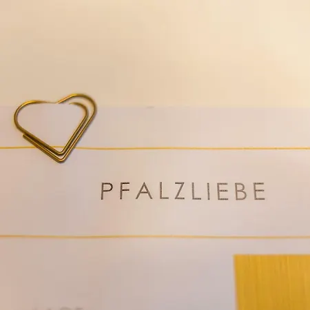 公寓 Modernes Im Herzen Von Neustadt: Pfalzliebe