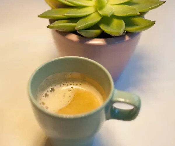 Apartment Modernes Im Herzen Von Neustadt: Pfalzliebe Neustadt an der Weinstraße